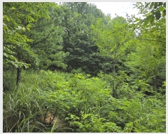  2025Ÿ��3442  �Ӿ߰��