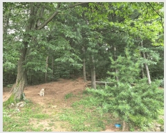  2025Ÿ��3442  �Ӿ߰��