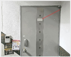  2025Ÿ��4629 ��� �����ν� ��絿 382-21 5��501ȣ      �ټ���,������