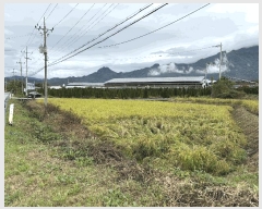  2025Ÿ��4643 ��� ��õ�� �̵��� ��� 746-1      ����(��)���