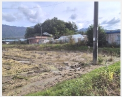  2025Ÿ��4643 ��� ��õ�� �̵��� ��� 746-1      ����(��)���