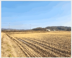  2025Ÿ��4940 ���� ö���� ������ �ϰ��� 1452      ����(��)���