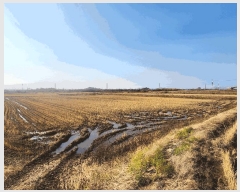  2025Ÿ��4940 ���� ö���� ������ �ϰ��� 1452      ����(��)���