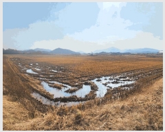  2025Ÿ��4940 ���� ö���� ������ �ϰ��� 1452      ����(��)���