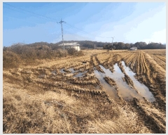  2025Ÿ��4940 ���� ö���� ������ �ϰ��� 1452      ����(��)���