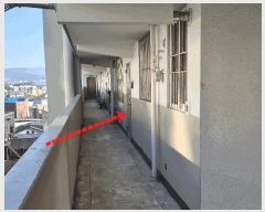  2025Ÿ��5042  ����Ʈ���