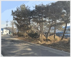  2025Ÿ��5622  â�����