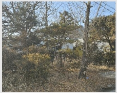  2025Ÿ��5622  â�����