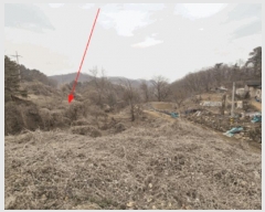  2025Ÿ��71785 ��� ��õ�� �̻�� ������ 339      ����(��1)���