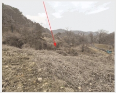  2025Ÿ��71785 ��� ��õ�� �̻�� ������ 339      ����(��1)���