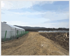  2025Ÿ��71930  ����