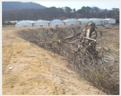  2025Ÿ��71930  ����