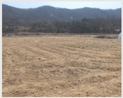  2025Ÿ��71930  ����