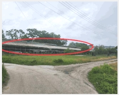  2025Ÿ��72242  �����