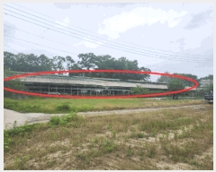  2025Ÿ��72242  �����