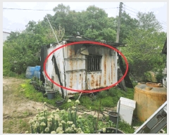  2025Ÿ��72242  �����