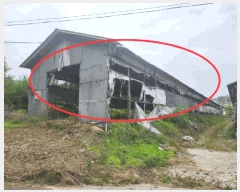  2025Ÿ��72242  �����