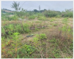  2025Ÿ72447  ֽ ȸ 534-3       (Ӿ)