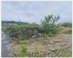  2025Ÿ72447  ֽ ȸ 534-3       (Ӿ)