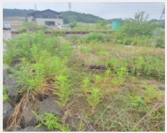  2025Ÿ72447  ֽ ȸ 534-3       (Ӿ)