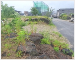  2025Ÿ72447  ֽ ȸ 534-3       (Ӿ)