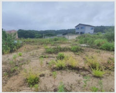  2025Ÿ72447  ֽ ȸ 534-3       (Ӿ)