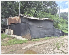  2025Ÿ��72461 ��� ��õ�� ���и� �� 156      ���(�󰡽ü�)���