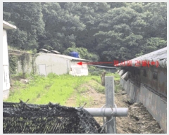  2025Ÿ��72461 ��� ��õ�� ���и� �� 156      ���(�󰡽ü�)���