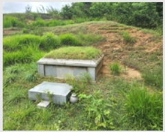  2025Ÿ72496  ֽ  Ÿ 13-2      (Ӿ)