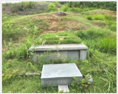  2025Ÿ72496  ֽ  Ÿ 13-2      (Ӿ)