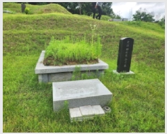  2025Ÿ72496  ֽ  Ÿ 13-2      (Ӿ)