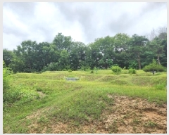  2025Ÿ72496  ֽ  Ÿ 13-2      (Ӿ)