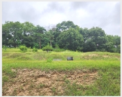  2025Ÿ72496  ֽ  Ÿ 13-2      (Ӿ)