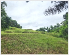  2025Ÿ72496  ֽ  Ÿ 13-2      (Ӿ)