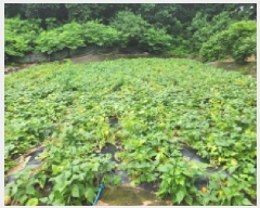  2025Ÿ72496  ֽ  Ÿ 13-2      (Ӿ)