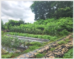  2025Ÿ72496  ֽ  Ÿ 13-2      (Ӿ)