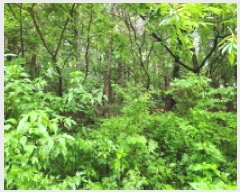  2025Ÿ��72497 ��� ����õ�� ���ϵ� ��38       ����(�Ӿ�)���