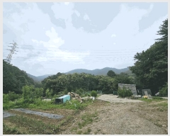  2025Ÿ72557  õ źϸ и 233      (Ӿ)