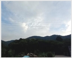  2025Ÿ72557  õ źϸ и 233      (Ӿ)