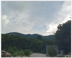  2025Ÿ72557  õ źϸ и 233      (Ӿ)