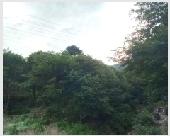  2025Ÿ72557  õ źϸ и 233      (Ӿ)