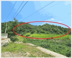  2025Ÿ��72592  �Ӿ߰��