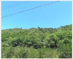  2025Ÿ��72592  �Ӿ߰��