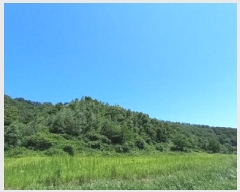  2025Ÿ��72592  �Ӿ߰��