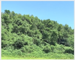  2025Ÿ��72592  �Ӿ߰��