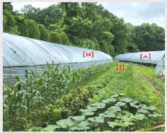  2025Ÿ��72603 ��� ���ֽ� ������ ����� 245-3      ����(��1)���