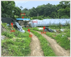  2025Ÿ��72603 ��� ���ֽ� ������ ����� 245-3      ����(��1)���