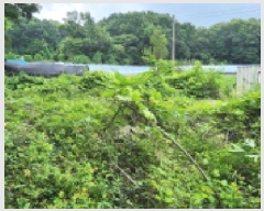  2025Ÿ��72603 ��� ���ֽ� ������ ����� 245-3      ����(��1)���