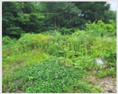  2025Ÿ��72603 ��� ���ֽ� ������ ����� 245-3      ����(��1)���