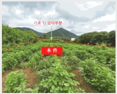  2025Ÿ��72619 ��� ��õ�� ���߸� �繮�� 325      ����(��1)���